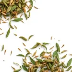 Kasuri methi