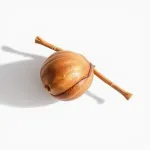 Noix de pine