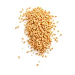 Graines de grain