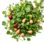 Mélange d'herbes et de garlic