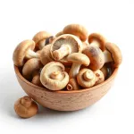 Champignons porcini secs