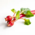 Rhubarb