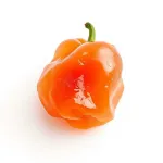 Gelée de poivron