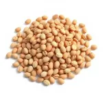 Haricots secs