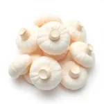 Champignons bouton