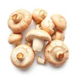 Champignons fraîches