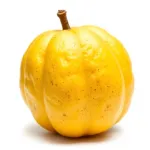 Panas