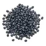 Fèves sec haricots navy