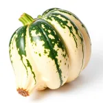 Cushaw
