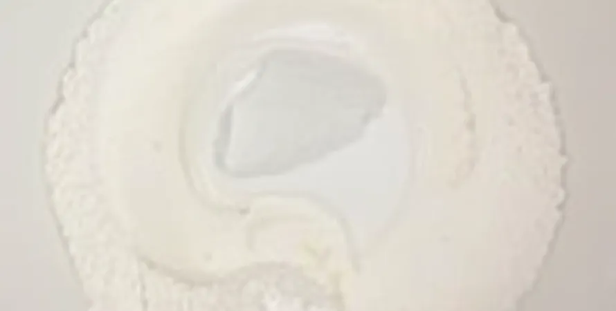 Mélange pour pâtisserie sans matière grasse