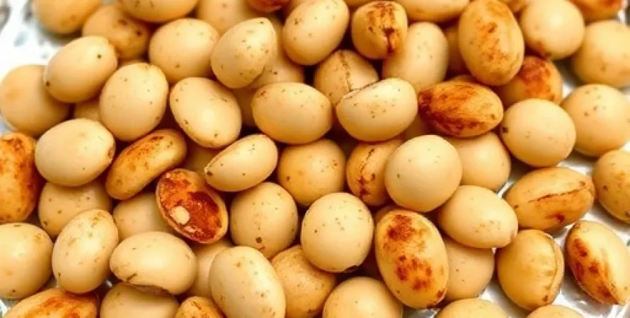 Amandes de macadamia savoureuses