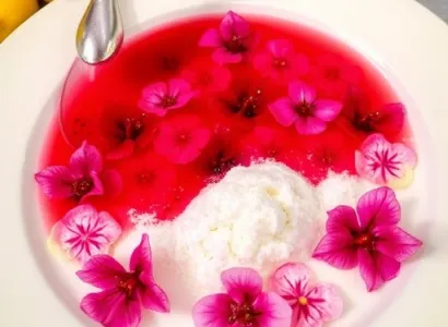 Concentré de fleurs d'hibiscus