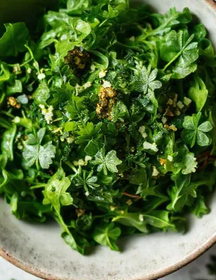 Salade verte à la vinaigrette d'estragon et ciboulette