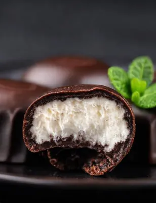 Palets glacés au chocolat noir et menthe