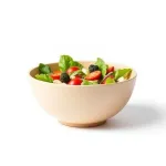 Plat à salade