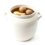 Récipient de fermentation